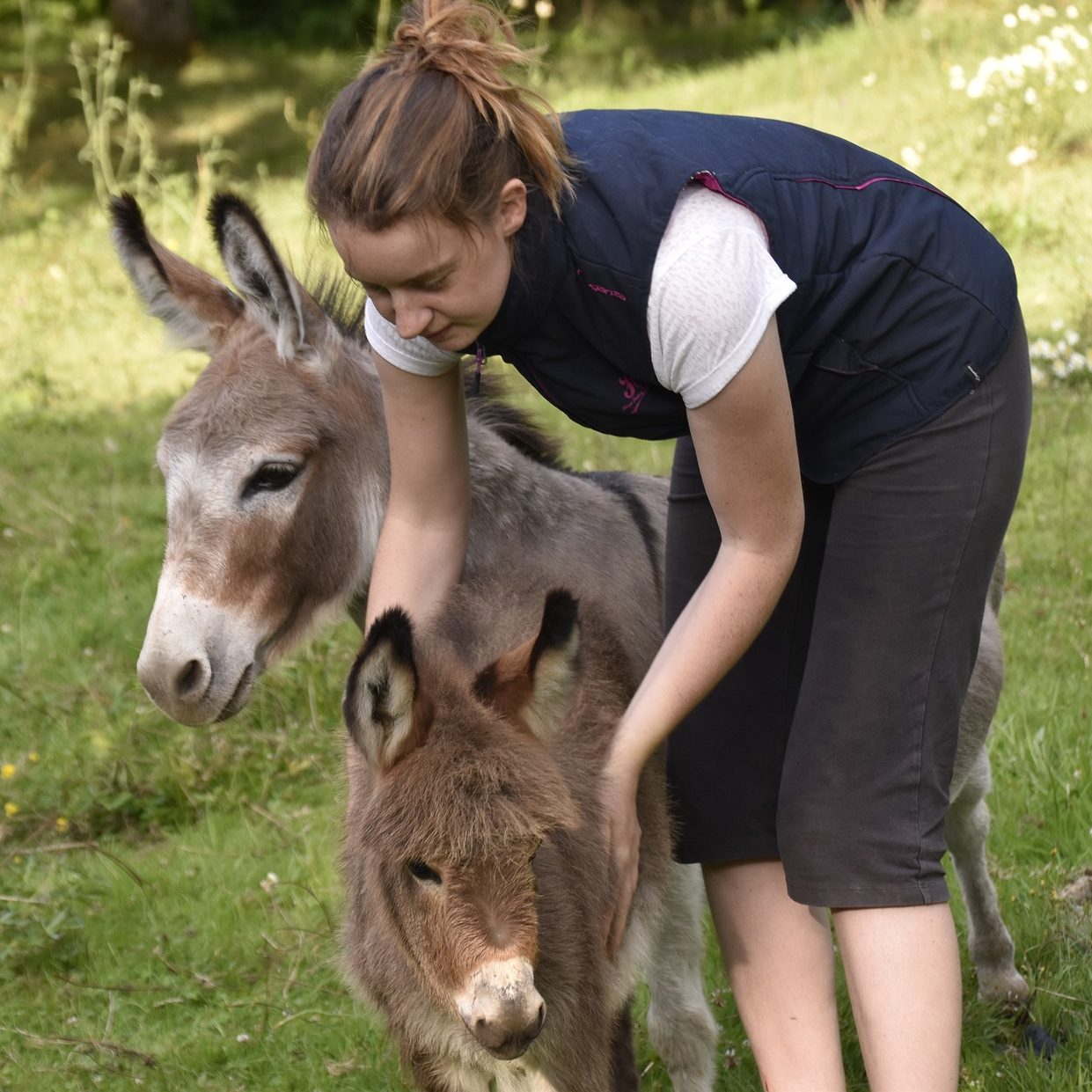 Image décrivant l'exposant : BELL'ANESSE EN PROVENCE